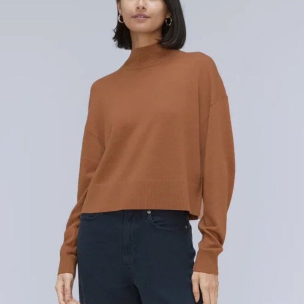 Everlane The Luxe Merino Turtleneck in Tawny Brown